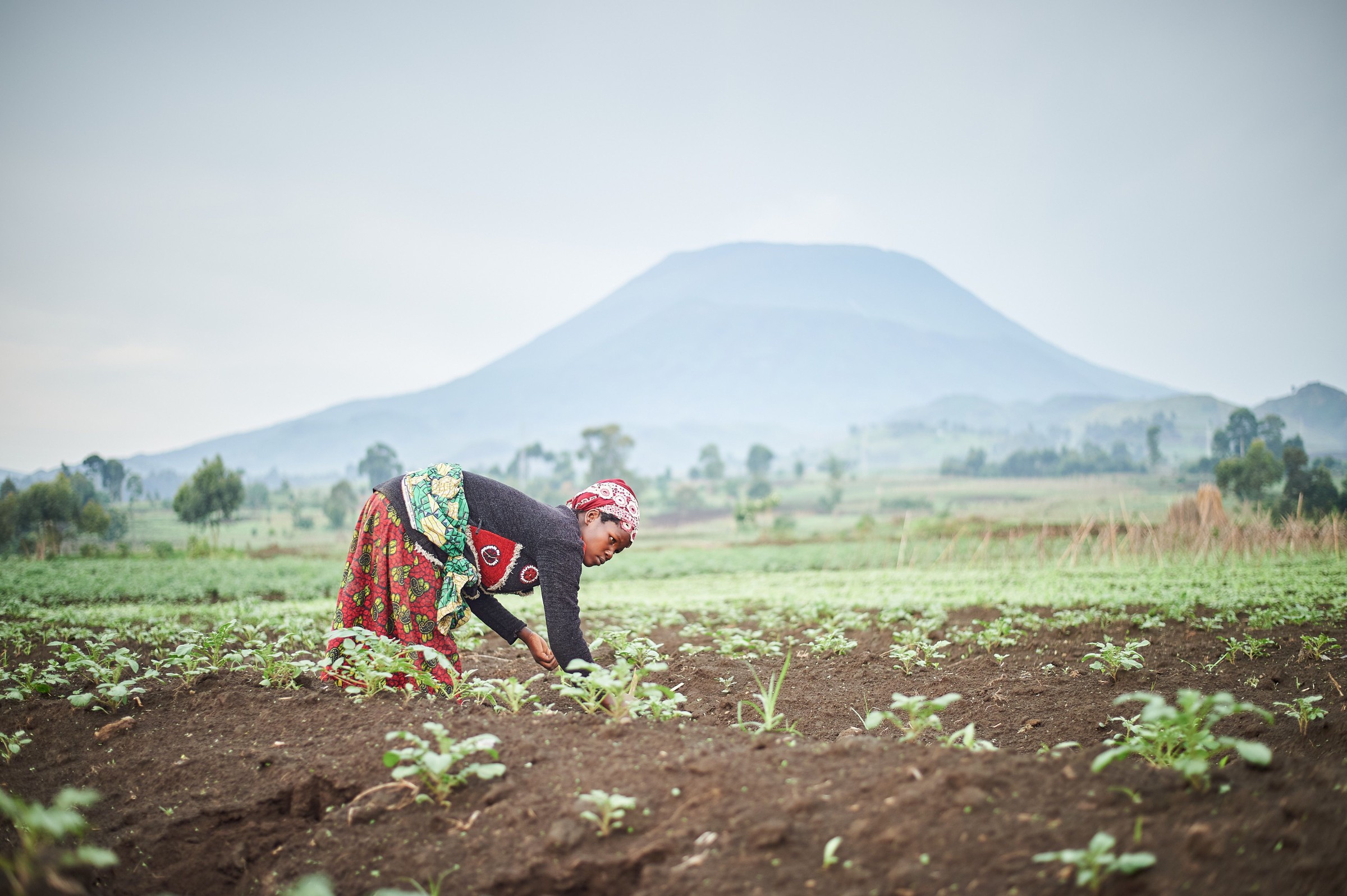 Smallholder Programs · East Africa
